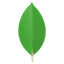 MongoDB Development